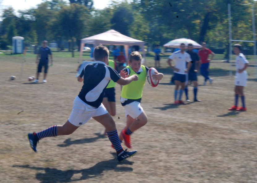 nzr-rugby